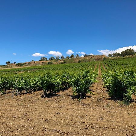 Fattoria Manostalla Villa Chiarelli Balestrate Exterior foto