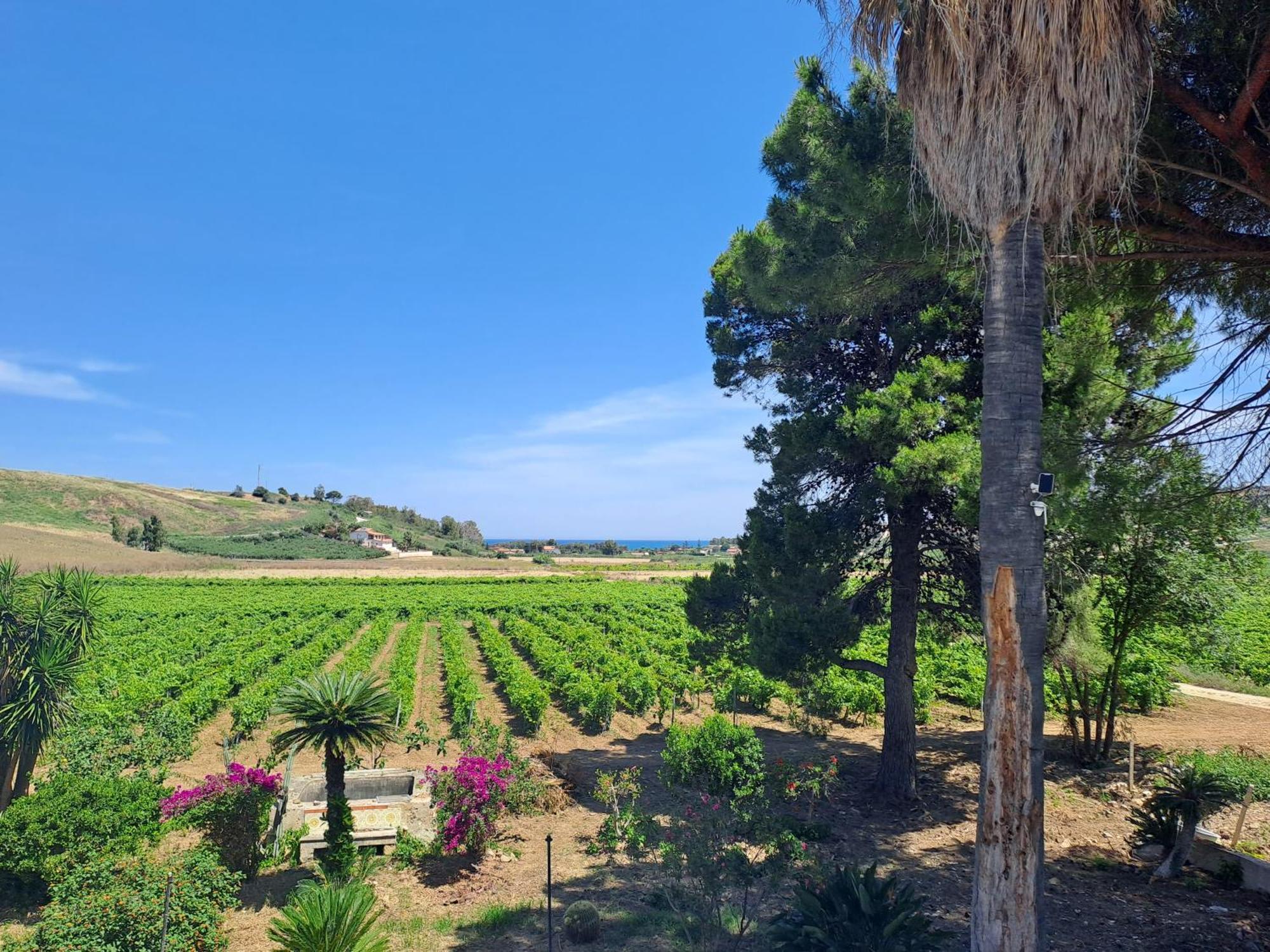 Fattoria Manostalla Villa Chiarelli Balestrate Exterior foto